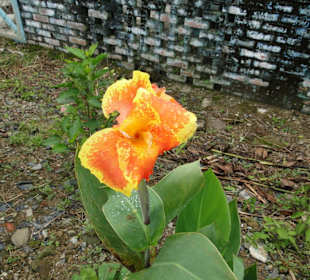 Wildlife Expeditions