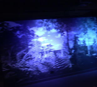 Naturparkzentrum Ruhestein