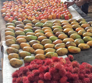 Obst- und Gemüsemarkt Trincomalee