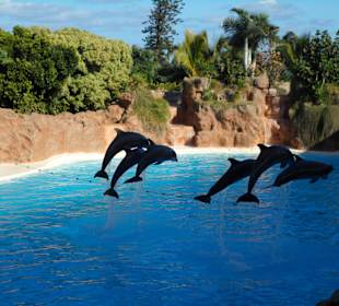 Loro Parque 