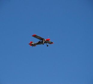 Hafengeburtstag 2008