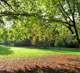 Rundgang durch den Stadtpark Versmold