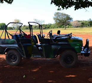 Cayo Saetía Safari Jeep