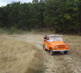Jeep Safari
