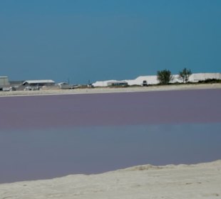 Las Coloradas