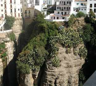 Ausblick über "el Tajo" in Ronda  