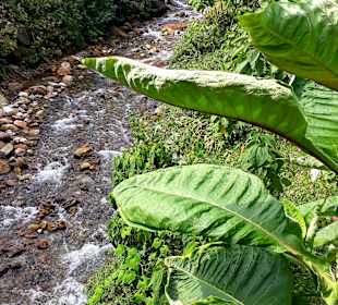 Aguas Calientes - Machu Picchu Pueblo