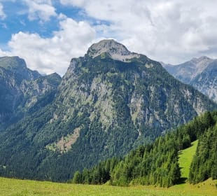 Ausblick