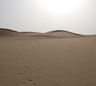 Dünen von Maspalomas
