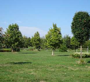 Der sommerliche Baumpark Thedinghausen