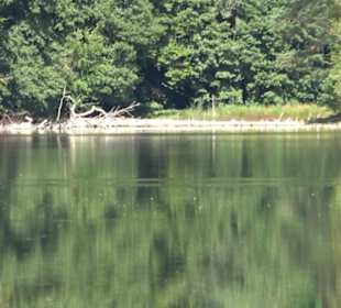 Neuer See