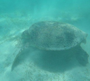 Alle Bilder an einem Tag!