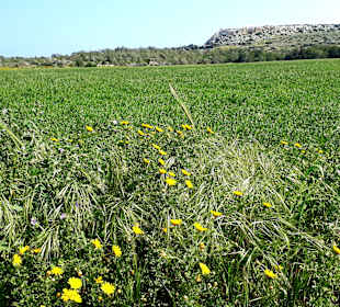 Nationalpark Kap Greco