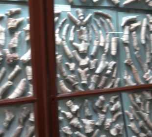 Ghar Dalam Cave & Museum