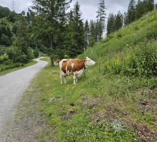 Wandern Gerlos