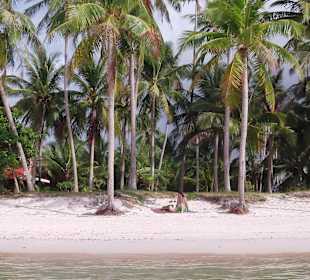 Strand von Ban Tai nur einige Gehminuten entfernt