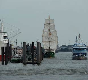 Alexander von Humboldt II 