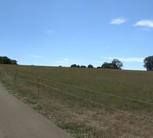 Wandertour Greifensteinrunde