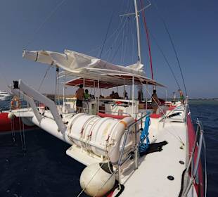 Eine tolle schiffscrew