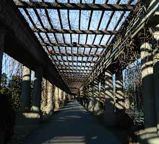 Hala Stulecia Wrocław