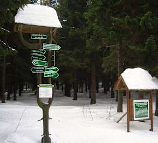 Wegweiser am Gustav-Freitag-Stein