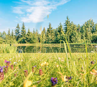 Wandern St. Lambrecht