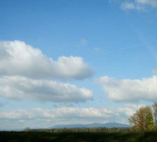 Blick in den bayerischen Wald