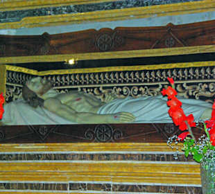 Nahaufnahme im Glaskasten