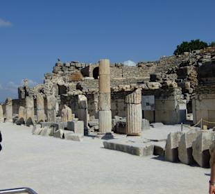 Der Weg zur Cellsiusbibliothek