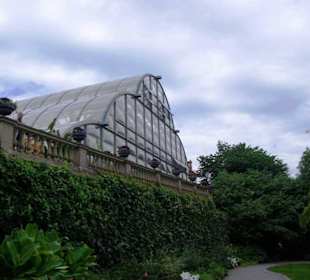 Palmenhaus von vorne