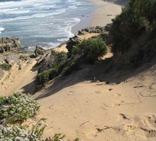 Strand
