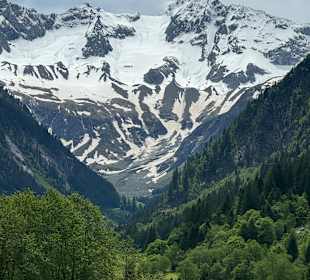 Ausblick