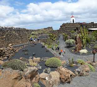 Im Garten Jardin de Cactus