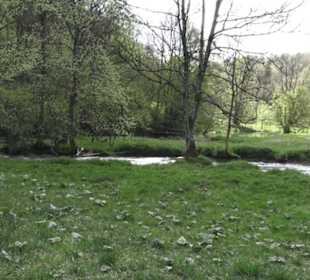Wasserfall Hoher Gießel