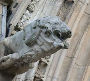 Blick zum Dom von Magdeburg