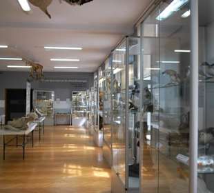 Muzeum Rybołówstwa Morskiego