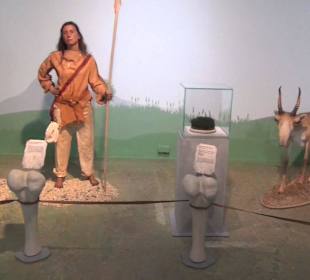 Ausstellung Eis Safari