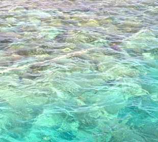 Hurghada Korallenriff