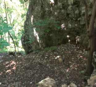 Burg Hohenerpfingen Erpfingen
