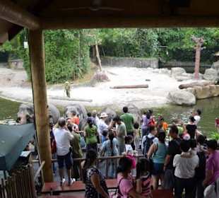 Singapur Zoo