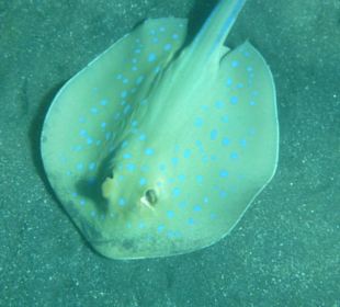 Ein Schnappschuss beim Ausflug