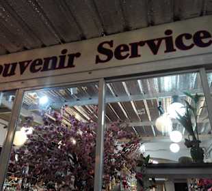 Mit Rollervermierung