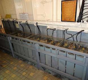 Im Akkumulatorenraum der Amrumbank