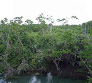 Blick auf die Süßwasserquellen