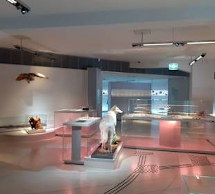 Staatliches Museum für Archäologie