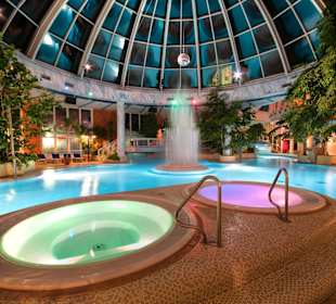 Blick auf die Wasserwelt nach der Sanierung