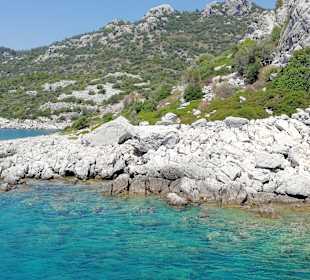 Tagesausflug mit Glasbodenboot