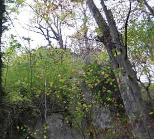 Rauberweghöhle Bissingen an der Teck
