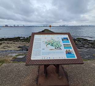 Strand Hoek van Holland in Hoek van Holland