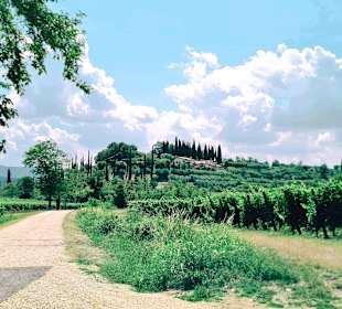 Wandern Costermano